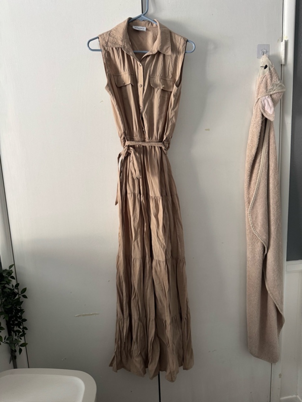 Celine Sleeveless Button-Front Maxi Dress in Beige